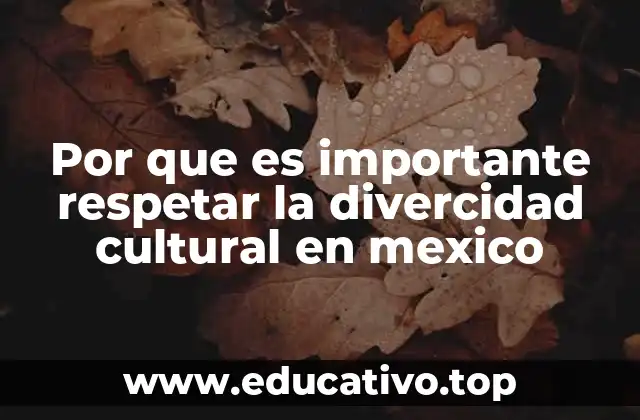 Por que es importante respetar la divercidad cultural en mexico