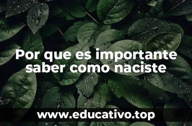 El impacto del nacimiento en el desarrollo humano