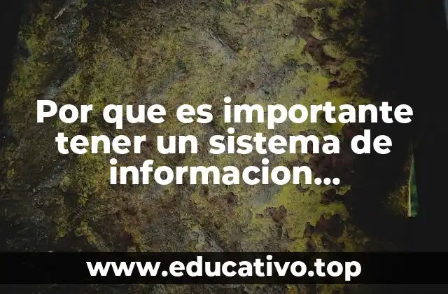 Por que es importante tener un sistema de informacion estructurada
