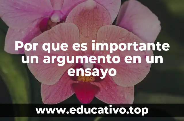 Por que es importante un argumento en un ensayo
