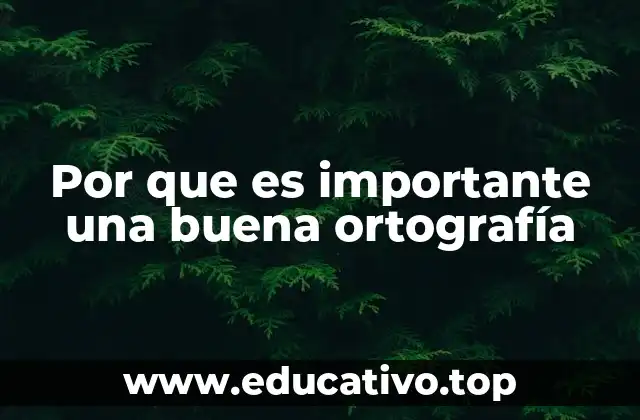 La importancia de la comunicación clara y efectiva
