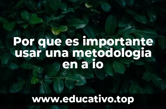 Por que es importante usar una metodologia en a io