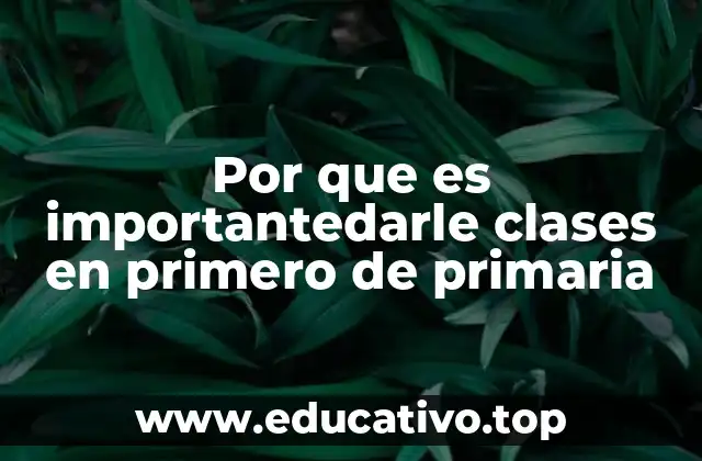 Por que es importantedarle clases en primero de primaria