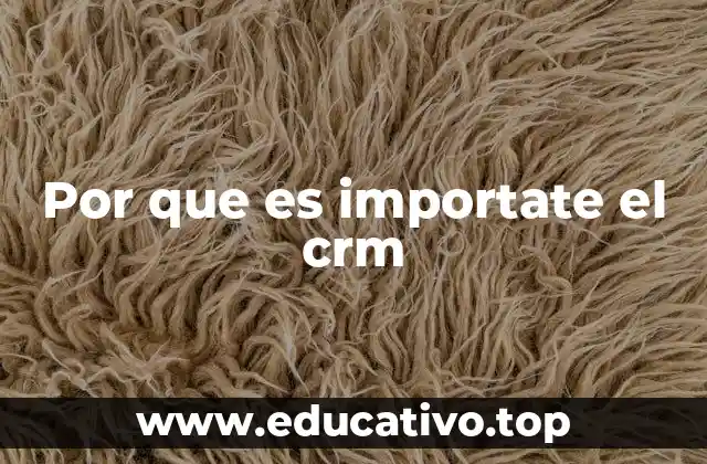 Por que es importate el crm