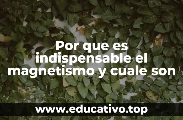 El papel del magnetismo en la ciencia y la tecnología
