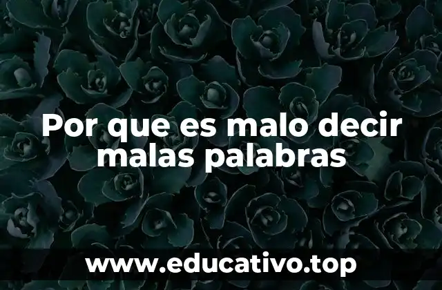 El impacto psicológico y social del lenguaje ofensivo