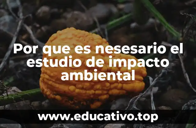 Por que es nesesario el estudio de impacto ambiental