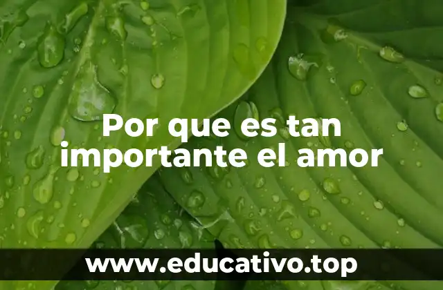 Por que es tan importante el amor