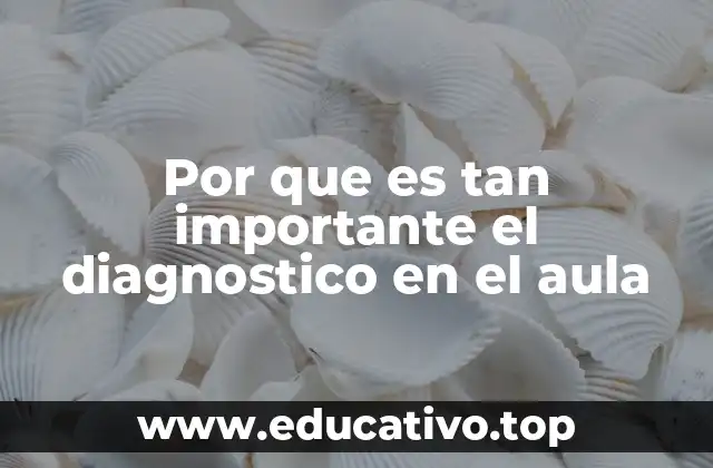 Por que es tan importante el diagnostico en el aula