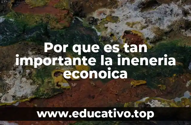 Por que es tan importante la ineneria econoica