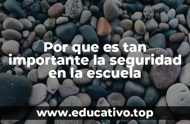 Por que es tan importante la seguridad en la escuela