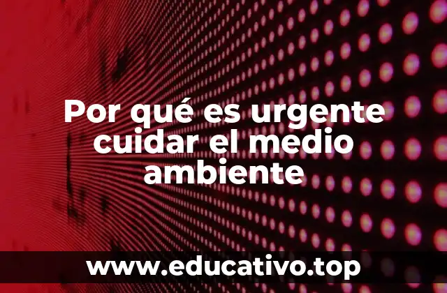 El impacto de la contaminación y la sobreexplotación de recursos