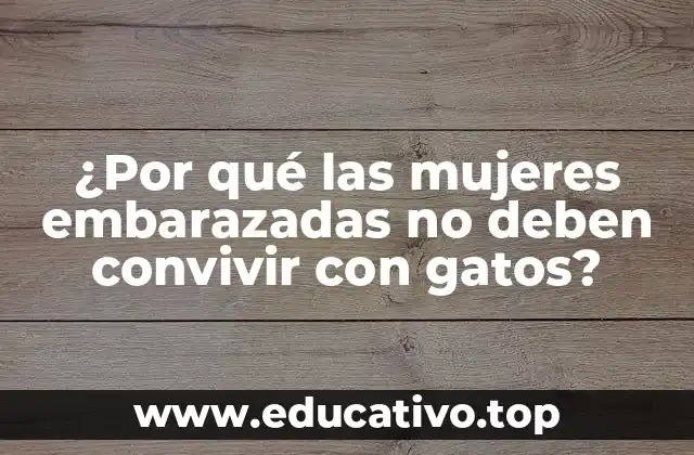¿Qué es la toxoplasmosis?