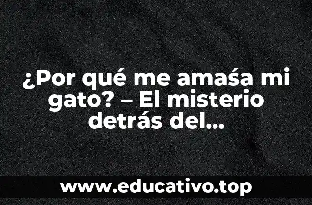 ¿Por qué me amaśa mi gato? – El misterio detrás del comportamiento felino