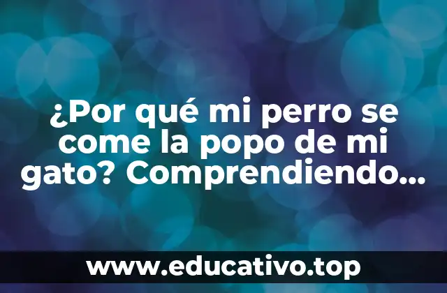 ¿Qué es la coprofagia canina?
