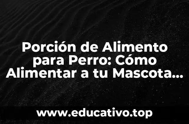 Porción de Alimento para Perro: Cómo Alimentar a tu Mascota de manera Saludable