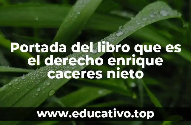 Portada del libro que es el derecho enrique caceres nieto
