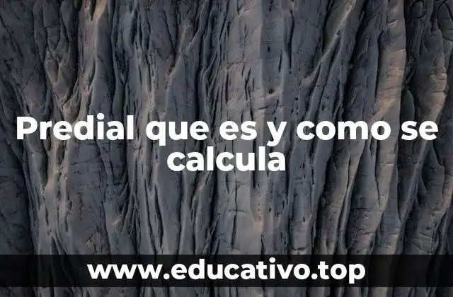 Cómo se aplica el impuesto predial en diferentes tipos de inmuebles