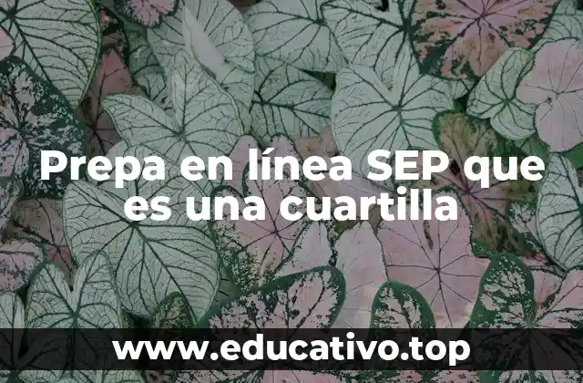 Prepa en línea SEP que es una cuartilla