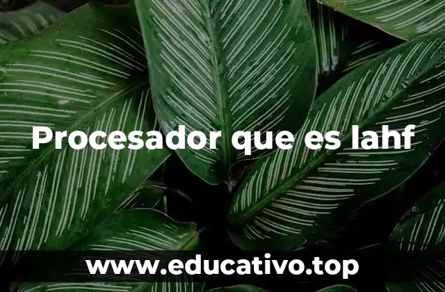 Procesador que es lahf