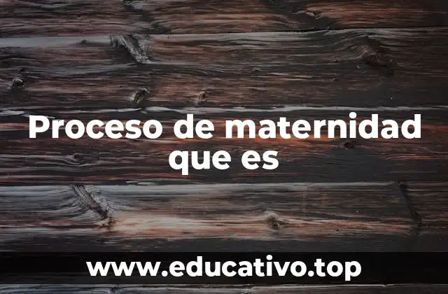 Proceso de maternidad que es