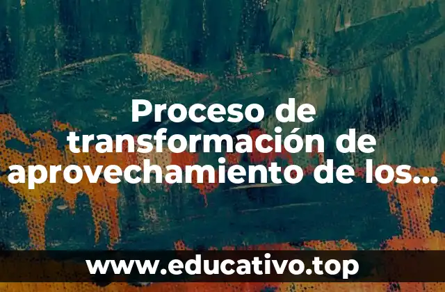 Proceso de transformación de aprovechamiento de los alimentos que es