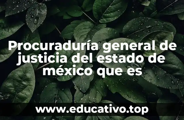 La importancia de la PGJEM en el sistema legal estatal