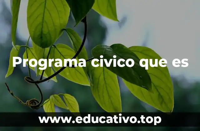 Programa civico que es