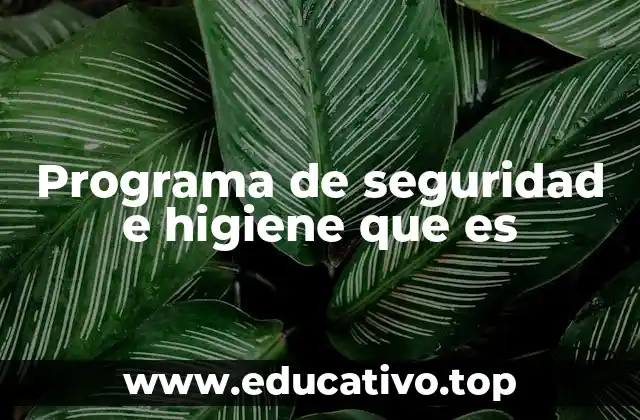 La importancia de los programas de seguridad en el lugar de trabajo