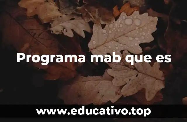 Programa mab que es