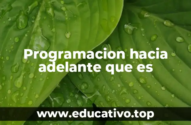 Programacion hacia adelante que es