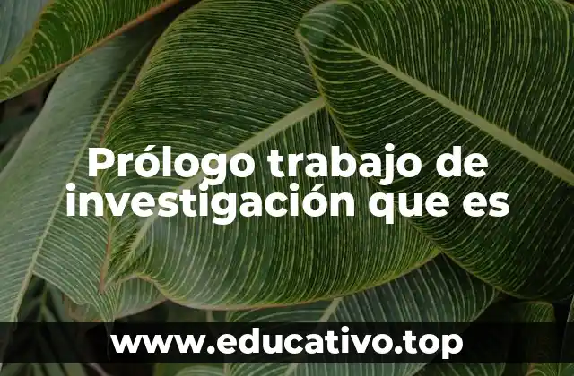 Prólogo trabajo de investigación que es