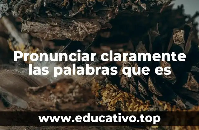 Pronunciar claramente las palabras que es