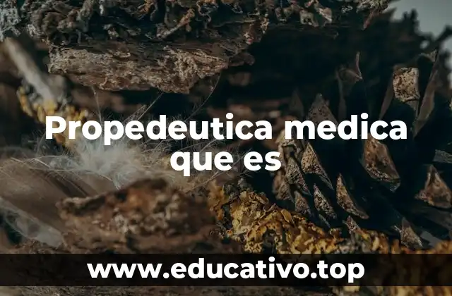 Propedeutica medica que es