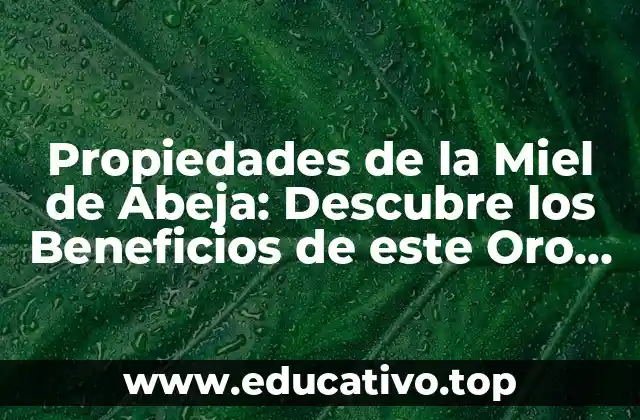 Propiedades de la Miel de Abeja: Descubre los Beneficios de este Oro Líquido