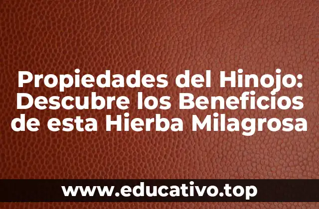 Propiedades del Hinojo: Descubre los Beneficios de esta Hierba Milagrosa