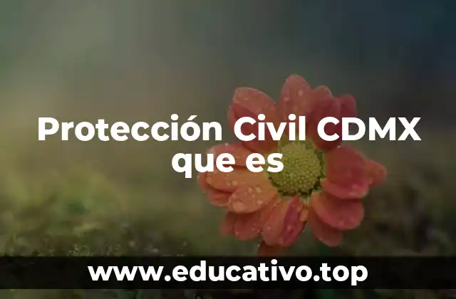 Protección Civil CDMX que es