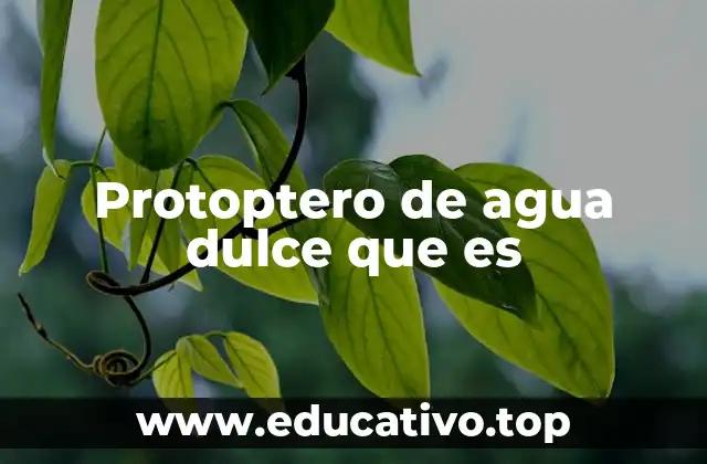 Protoptero de agua dulce que es