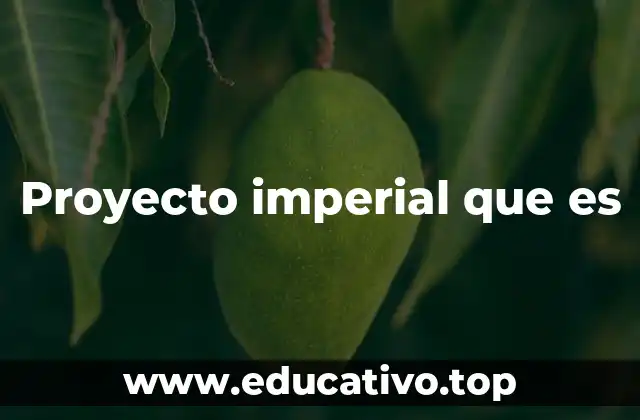 Proyecto imperial que es
