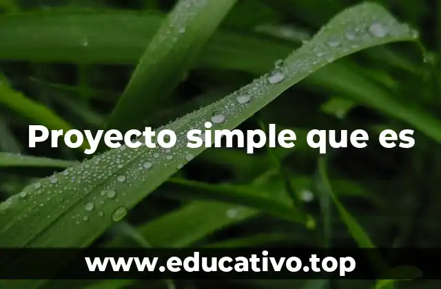 La esencia de un proyecto sin complicaciones
