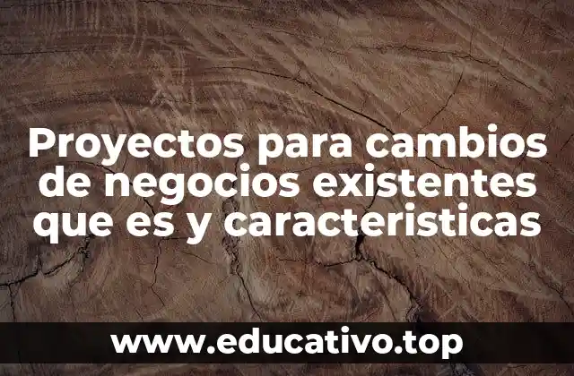 Proyectos para cambios de negocios existentes que es y caracteristicas