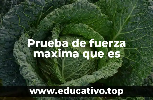 Importancia de evaluar la fuerza en el rendimiento físico