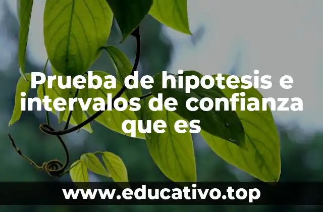 Prueba de hipotesis e intervalos de confianza que es