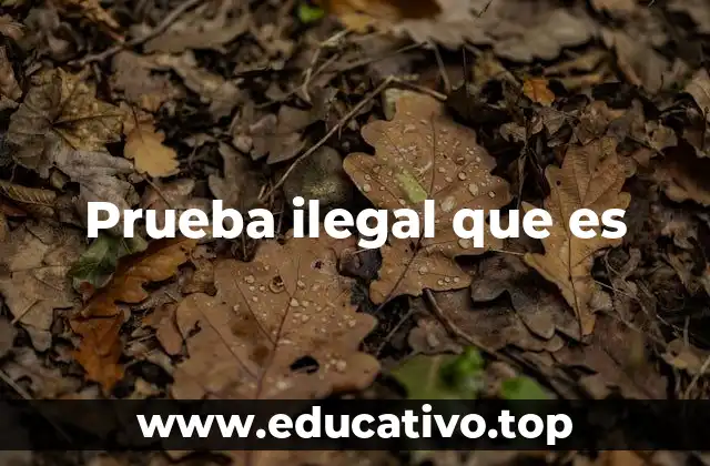 Prueba ilegal que es