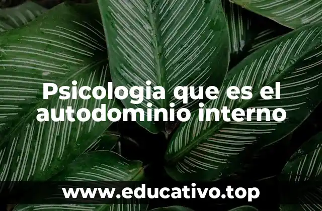 La importancia del control interno en el desarrollo psicológico
