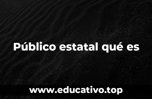 Público estatal qué es