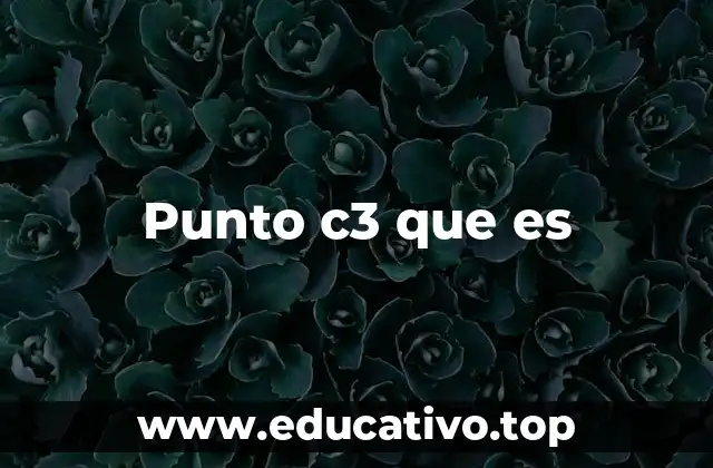 Punto c3 que es