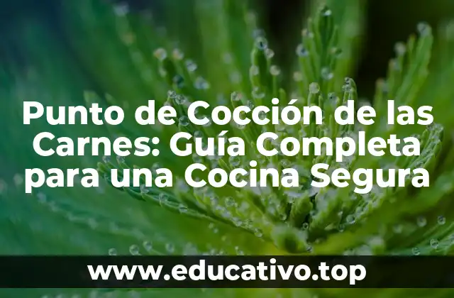 Punto de Cocción de las Carnes: Guía Completa para una Cocina Segura