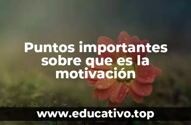 Puntos importantes sobre que es la motivación