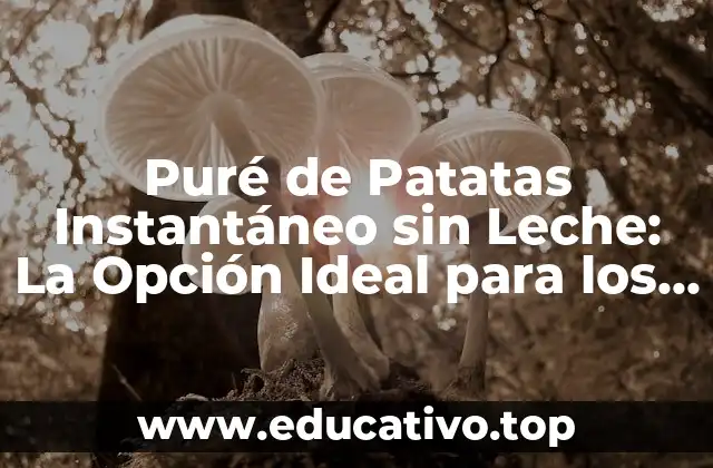 Puré de Patatas Instantáneo sin Leche: La Opción Ideal para los Veganos y Lactosa Intolerantes